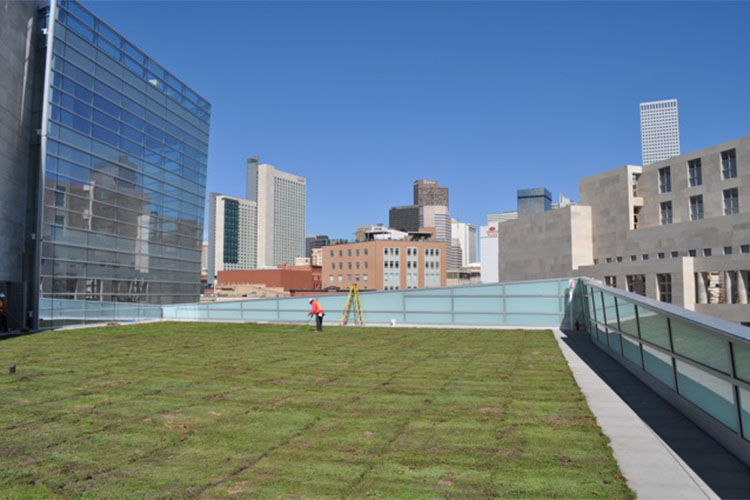 Denver Justice Center Green Roof