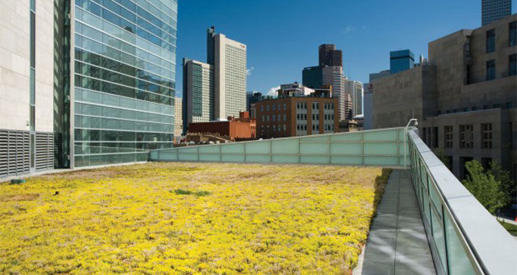 Denver Justice Center Green Roof